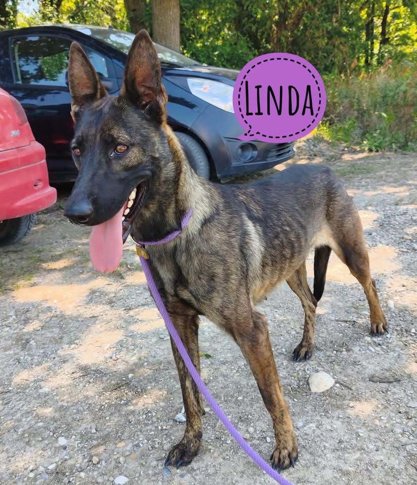 LINDA