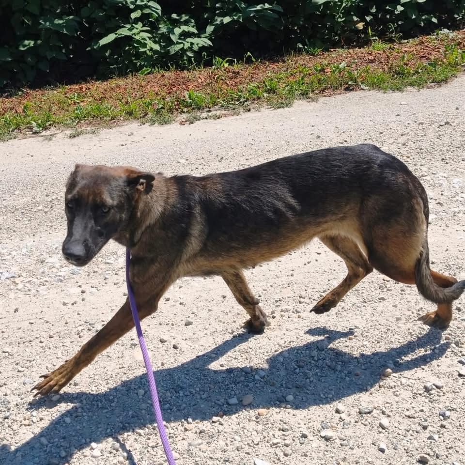 LINDA – Bild 6