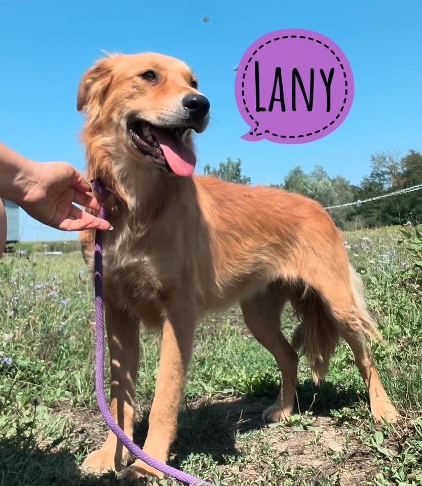 LANY