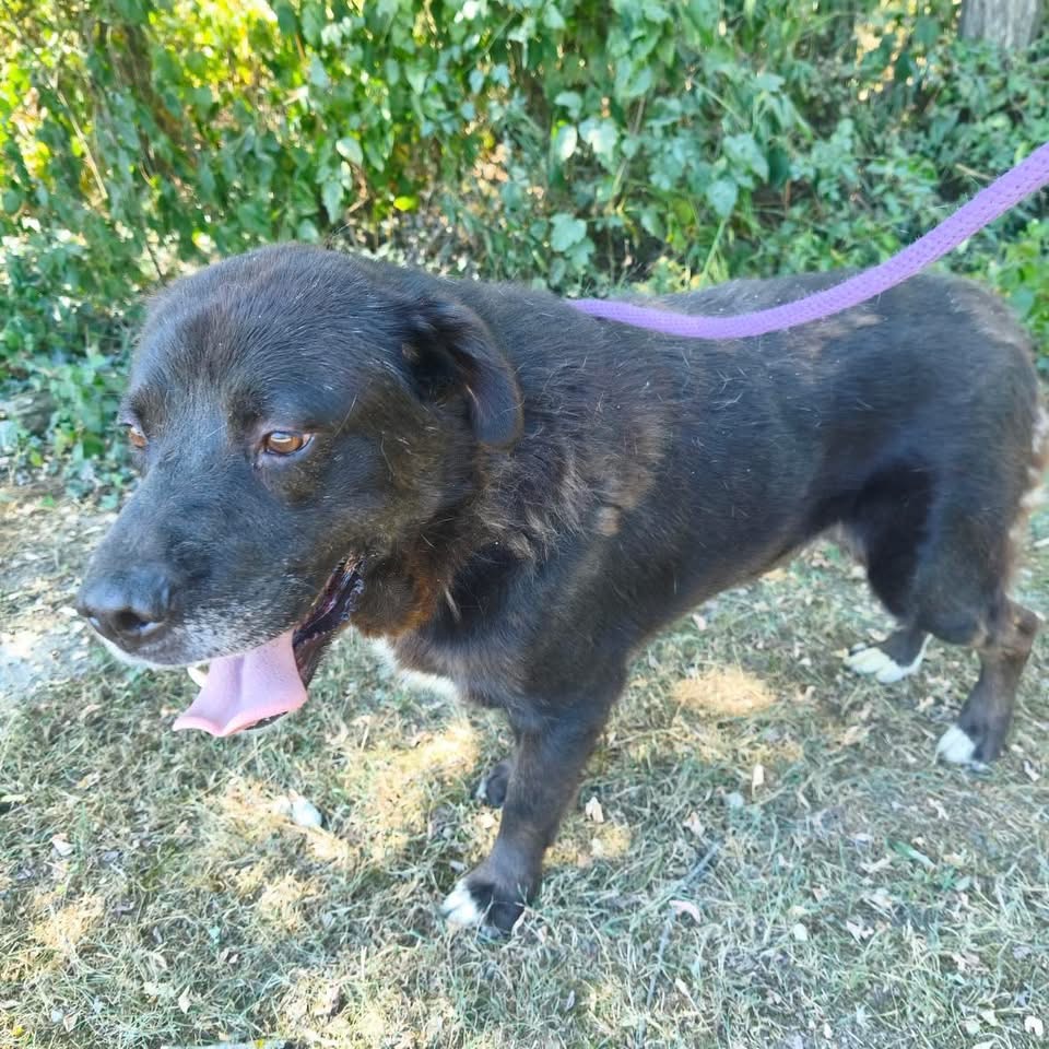 REMUS – Bild 3