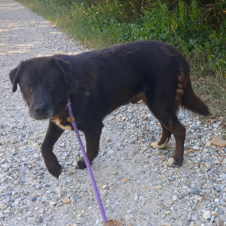 REMUS – Bild 6