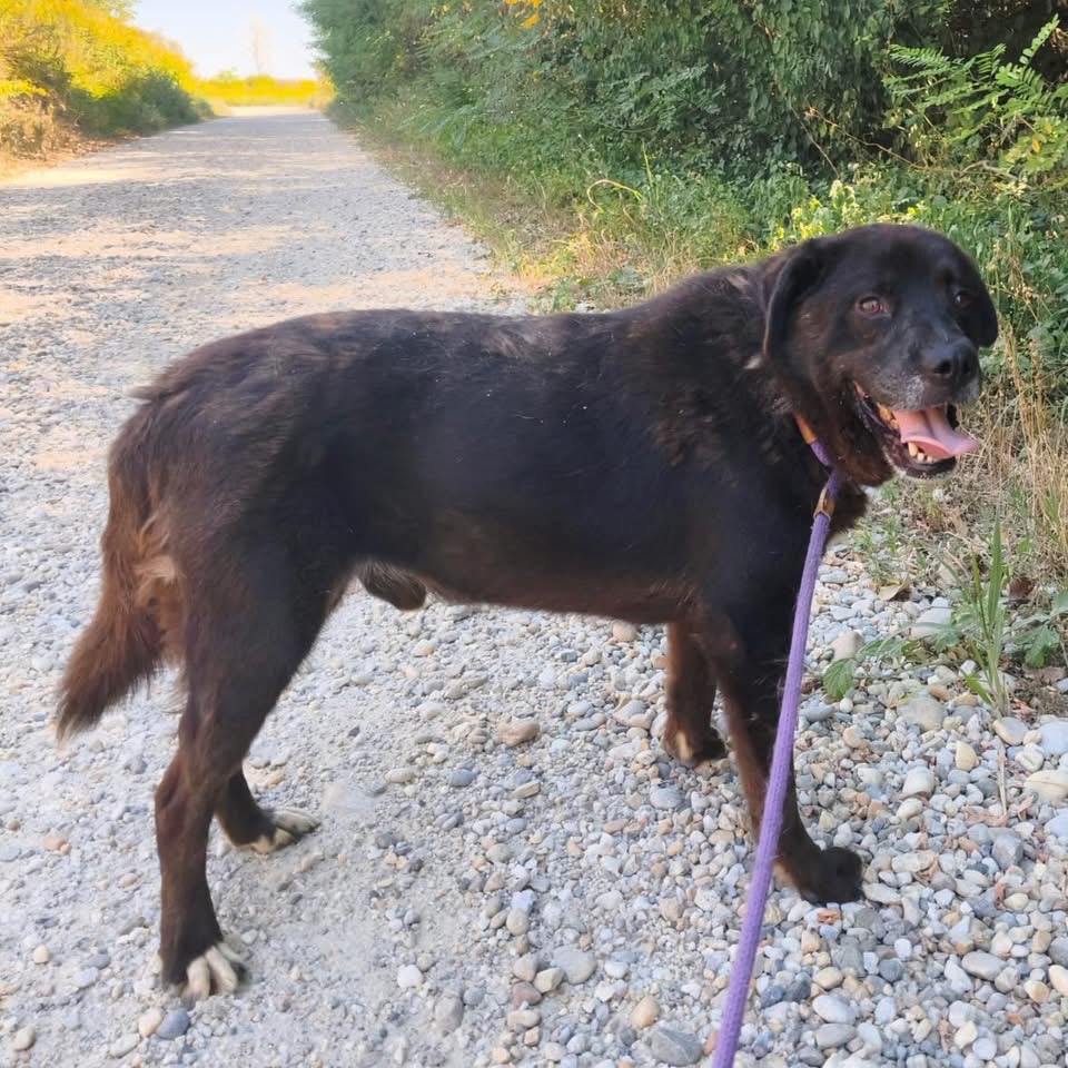 REMUS – Bild 7