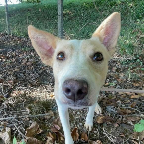 ZOE – Bild 4