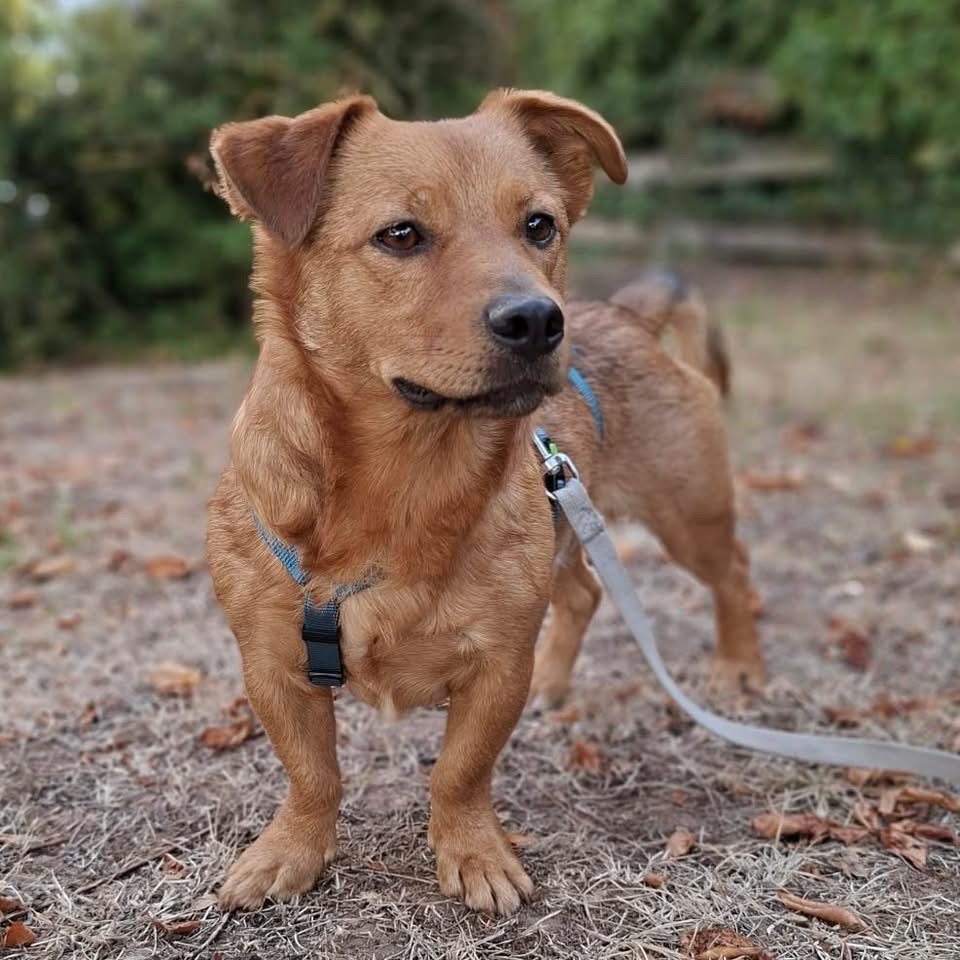 KIBO – Bild 2
