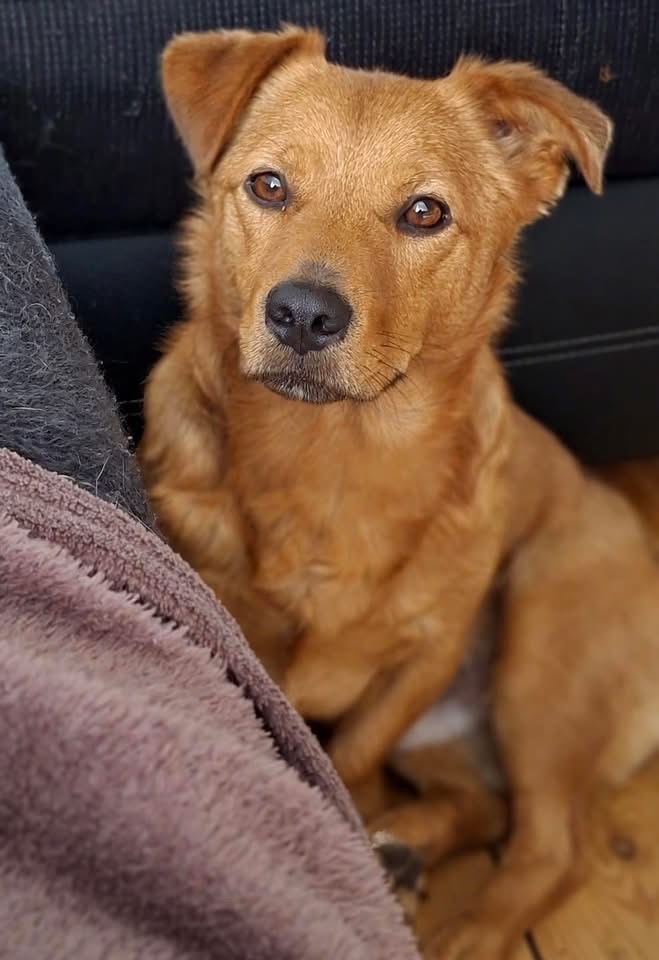 KIBO – Bild 3