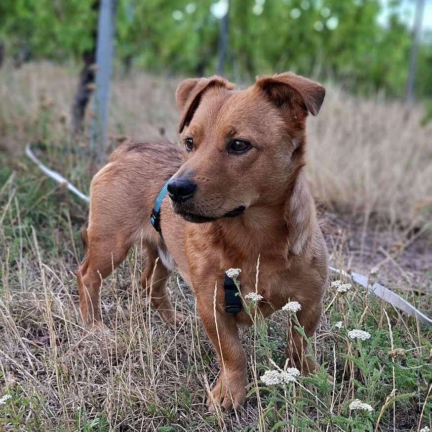 KIBO – Bild 4