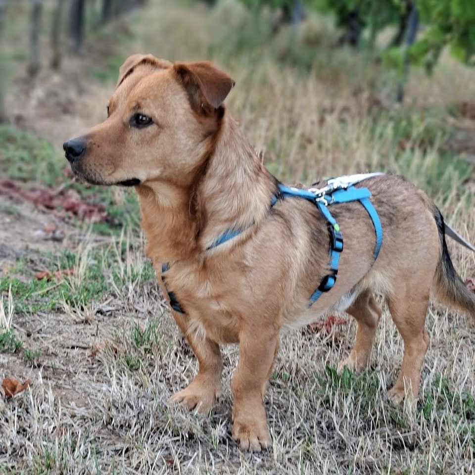 KIBO – Bild 5