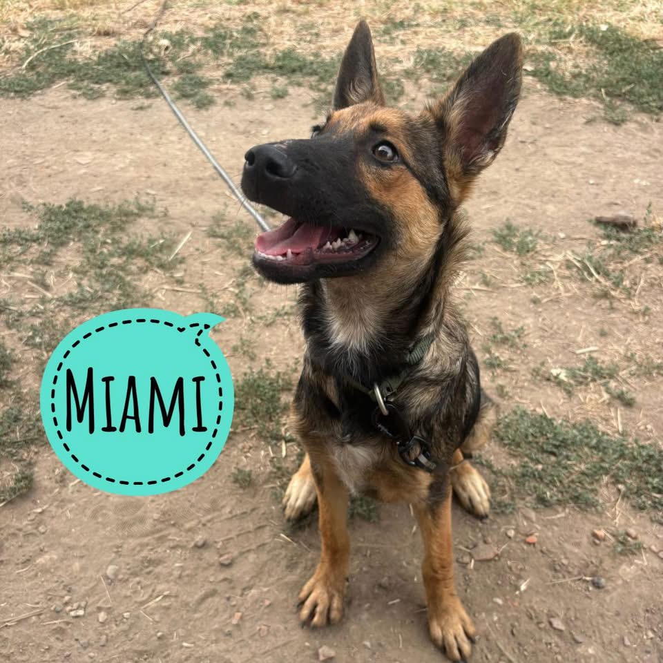 MIAMI