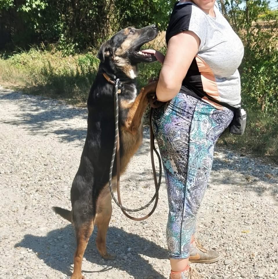CLIO – Bild 4