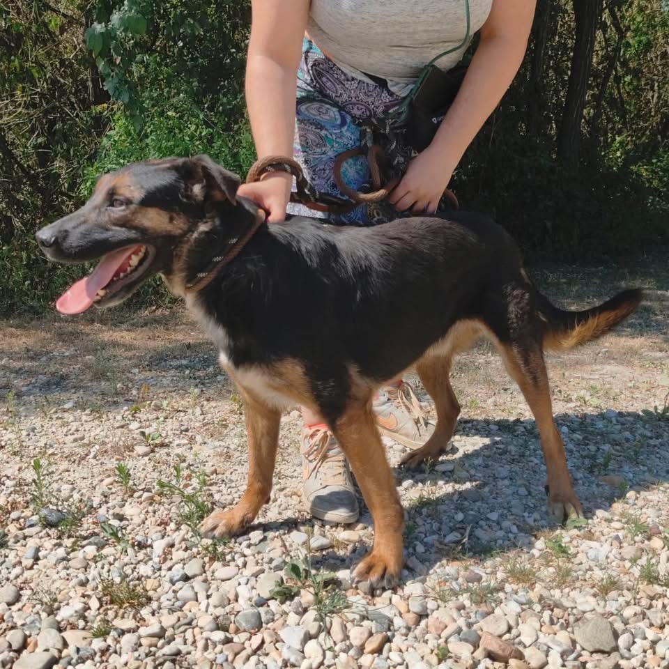 CLIO – Bild 6