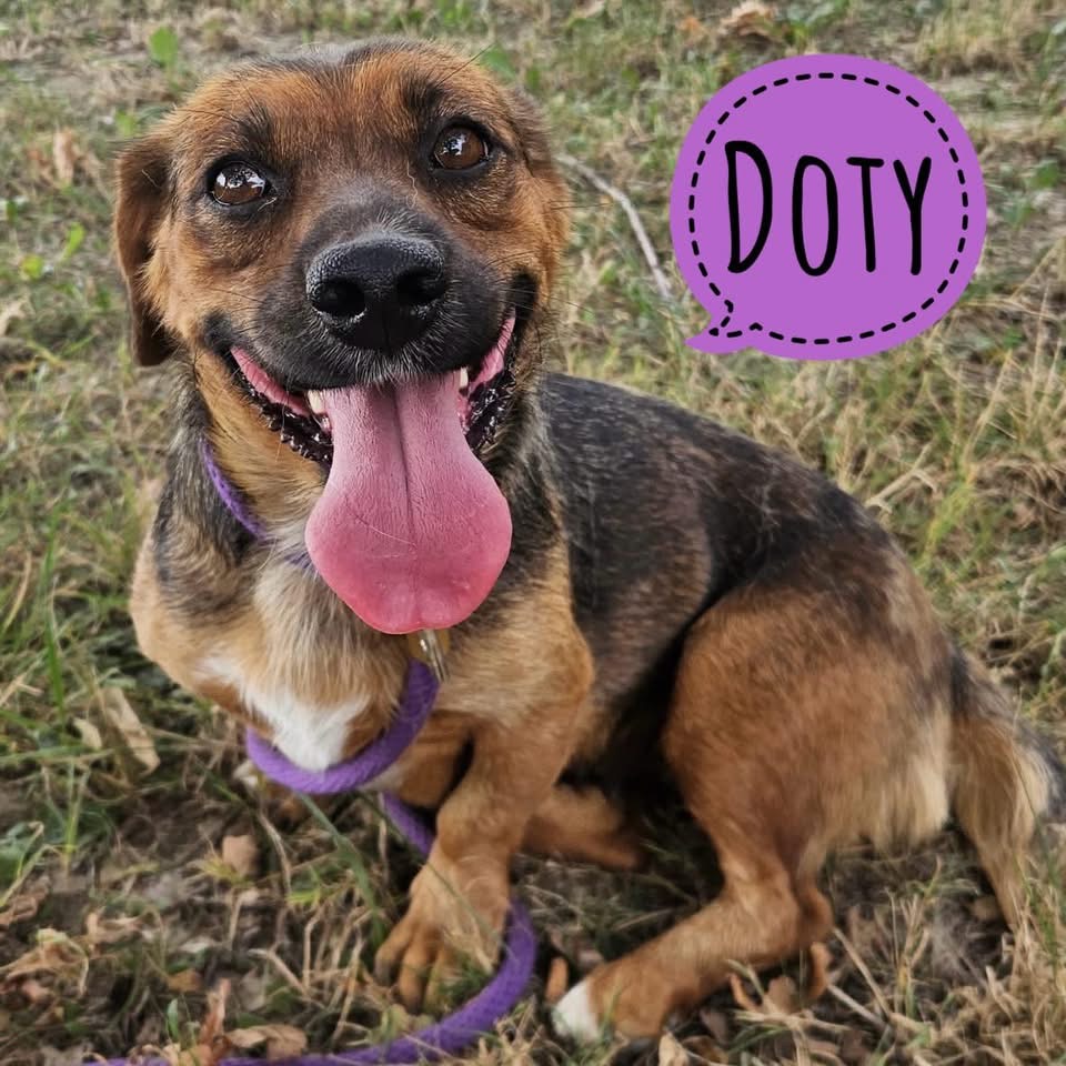 DOTY