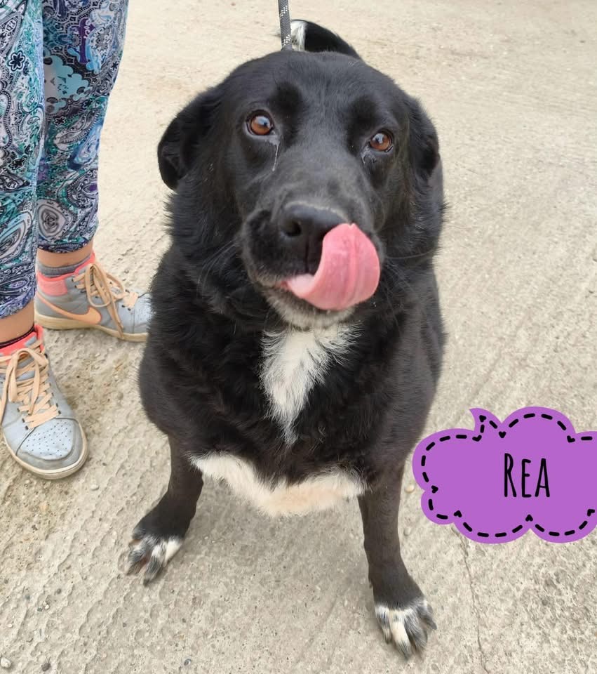 REA