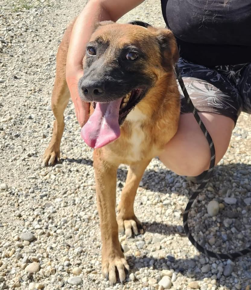 WEST – Bild 3