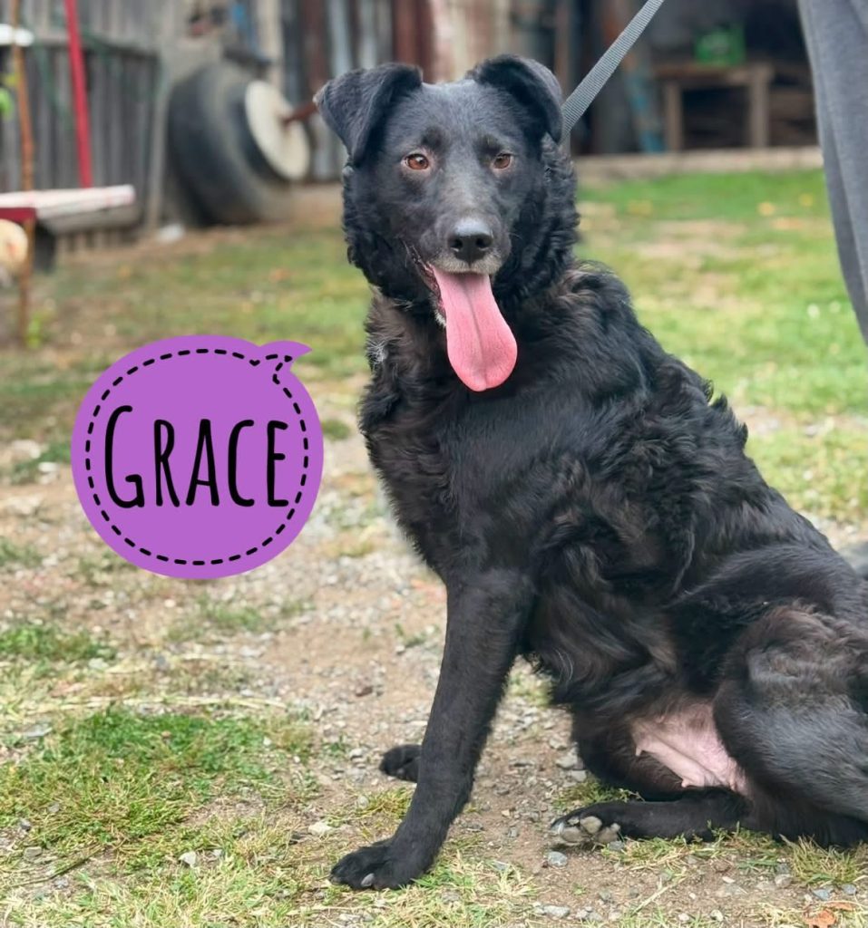 GRACE