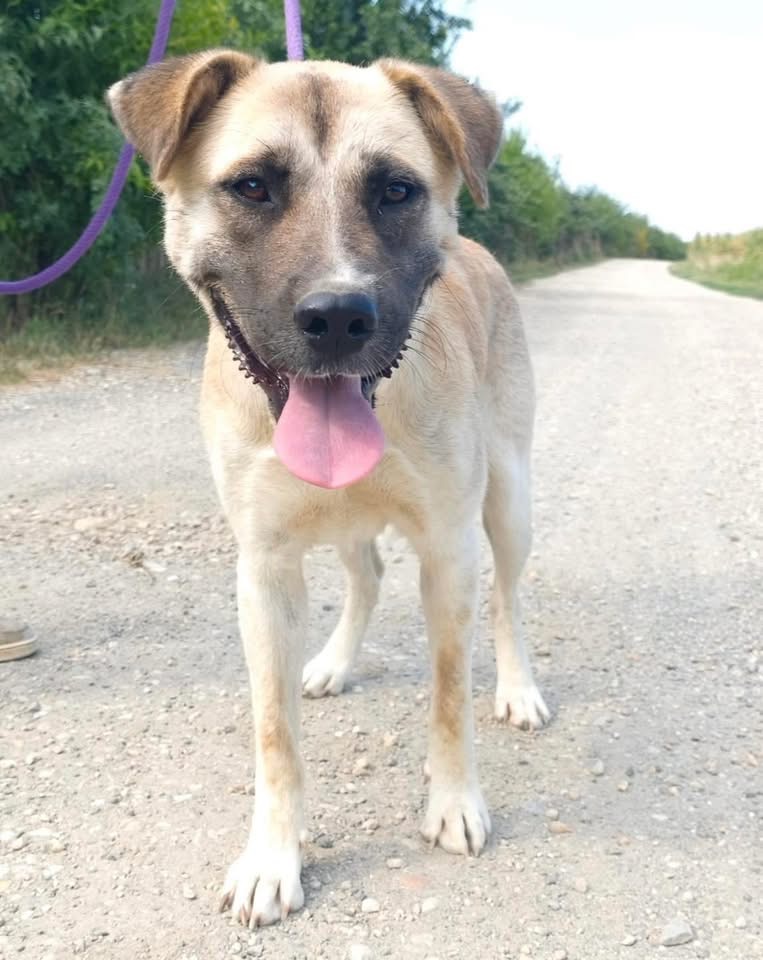 LINA – Bild 3