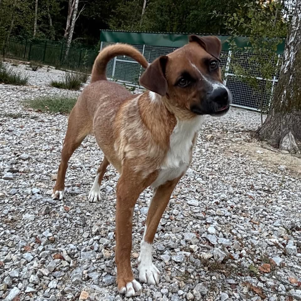 COOP – Bild 2