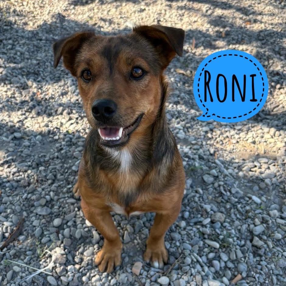 RONI