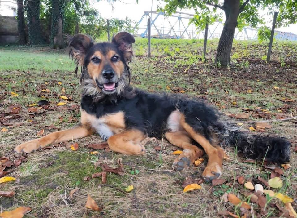 KOVU – Bild 2