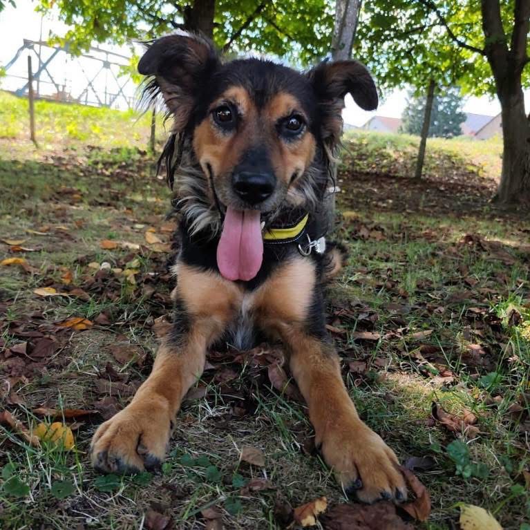 KOVU – Bild 3