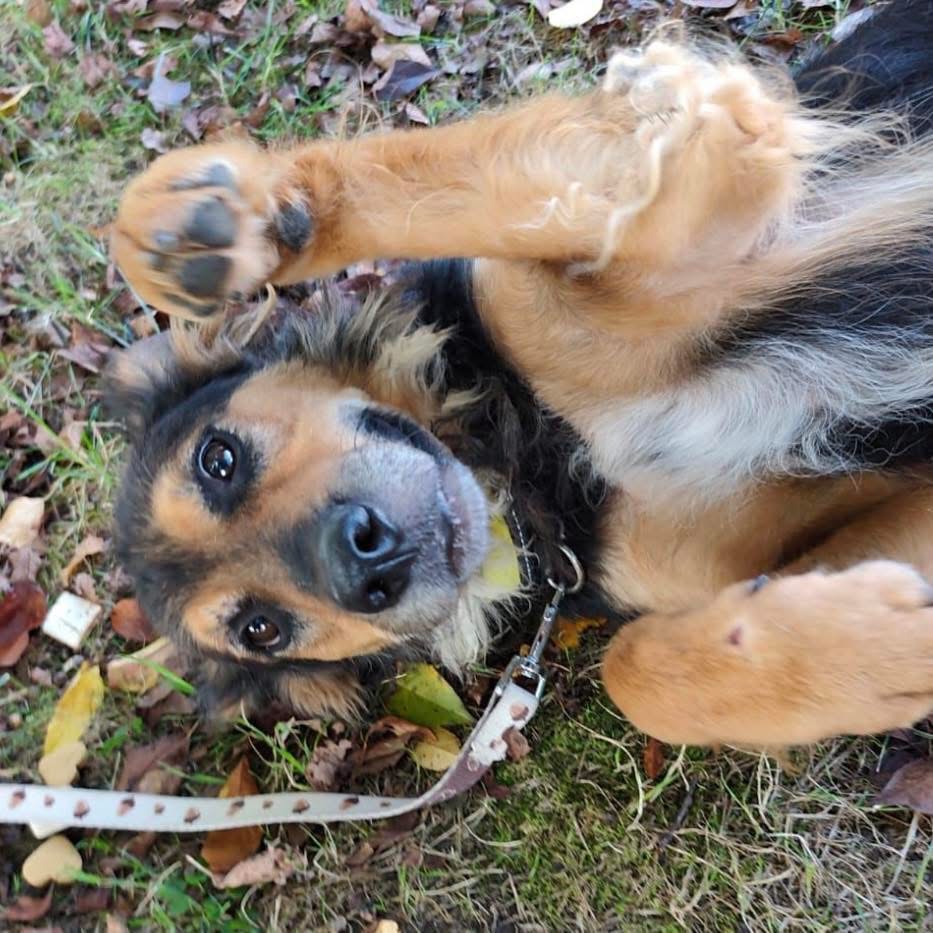 KOVU – Bild 4