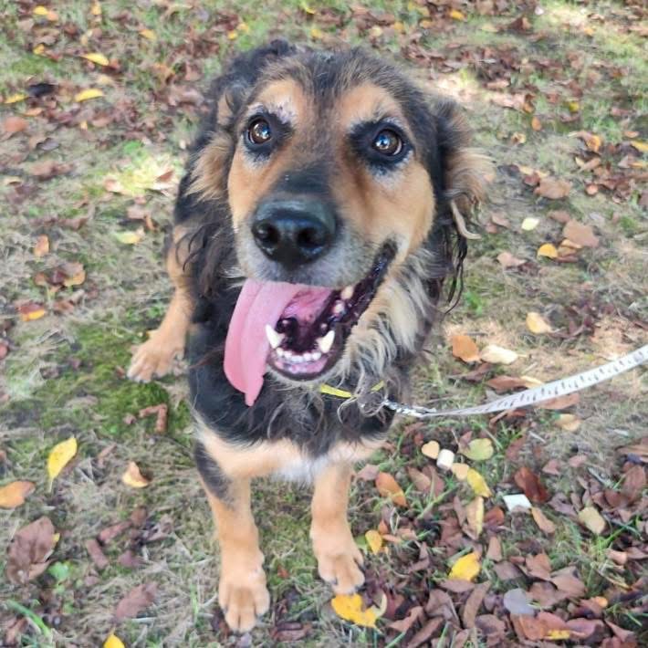 KOVU – Bild 5