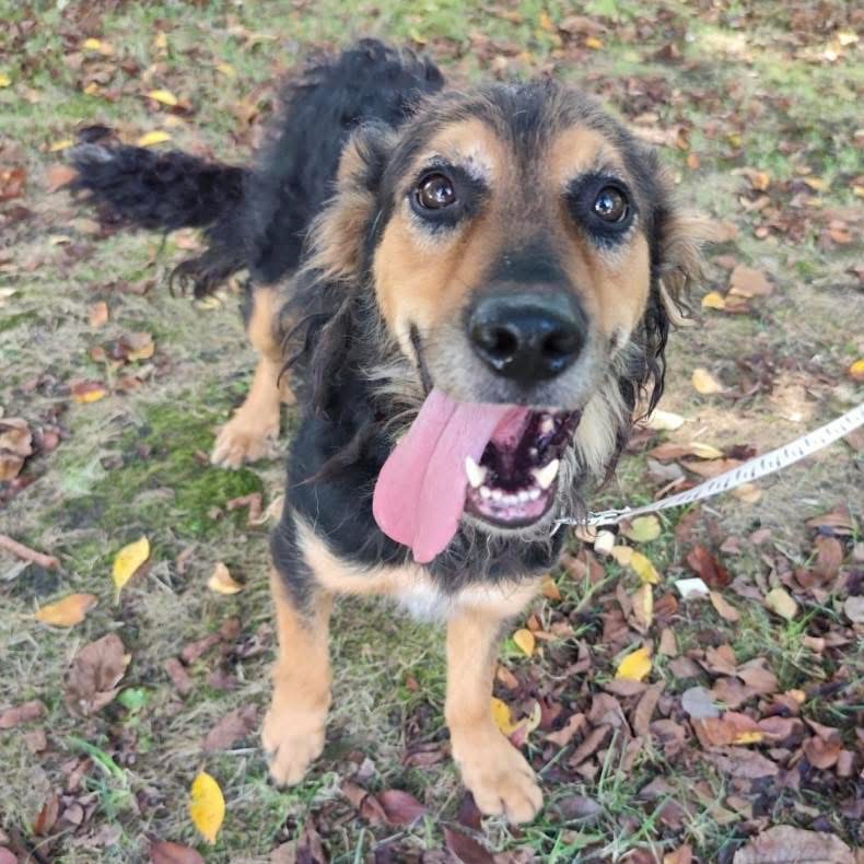 KOVU – Bild 6