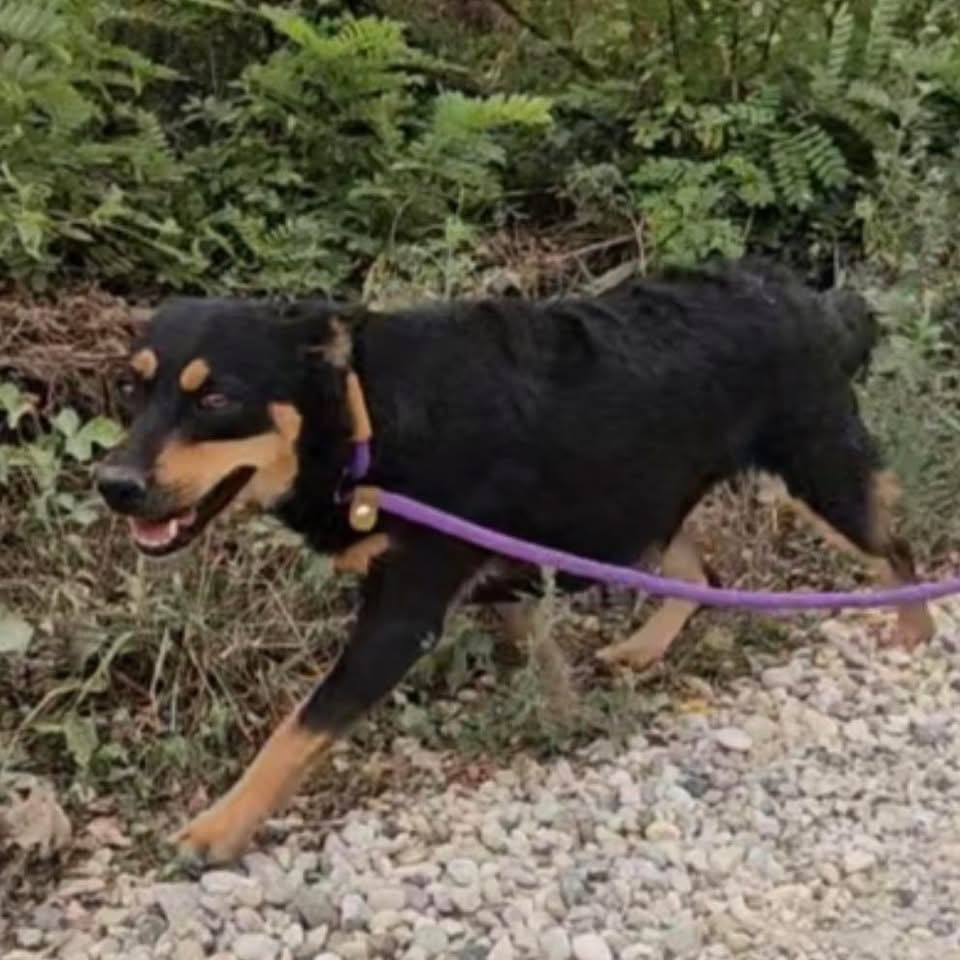 BUGA – Bild 3