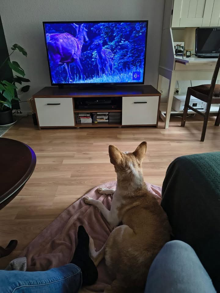 ZOE – Bild 6