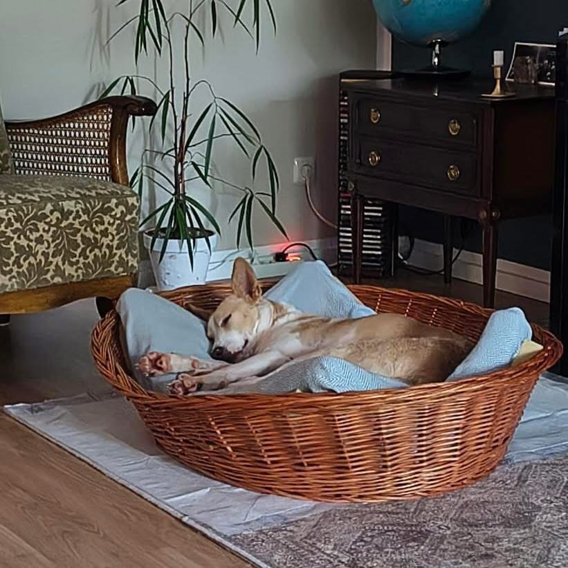 ZOE – Bild 7