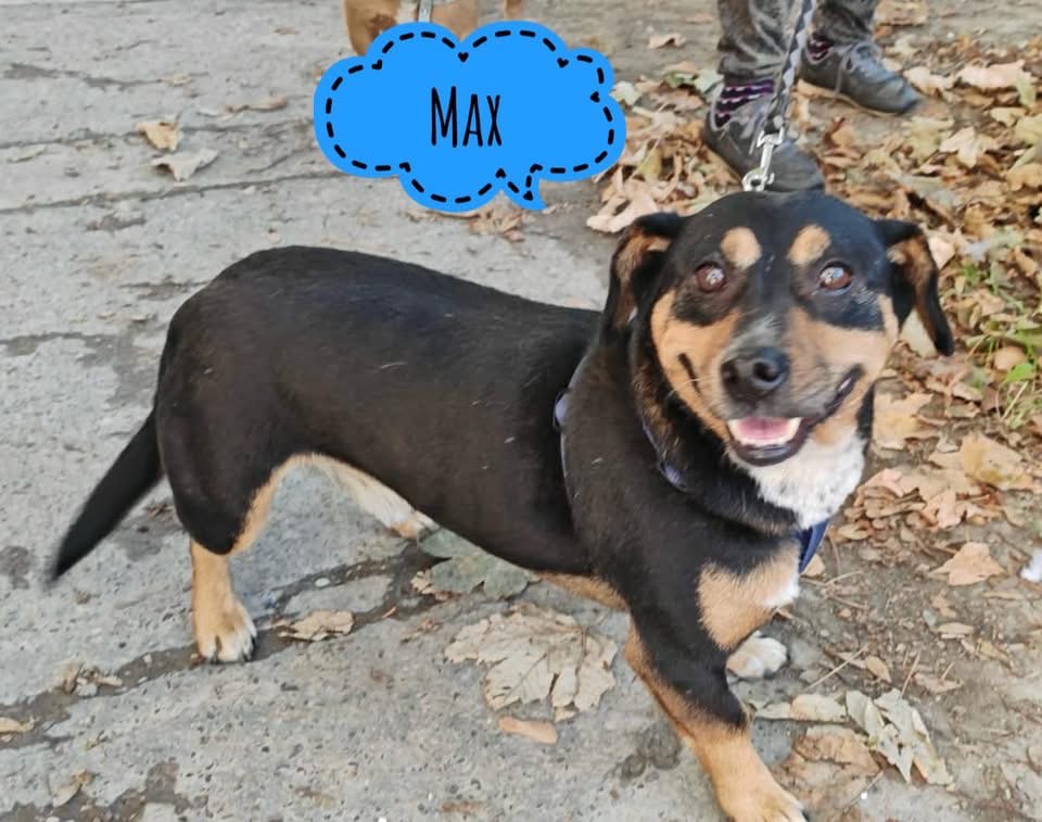 MAX