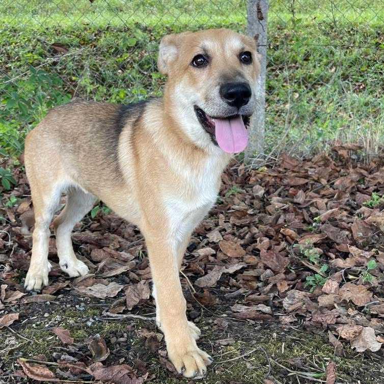 PACO – Bild 3