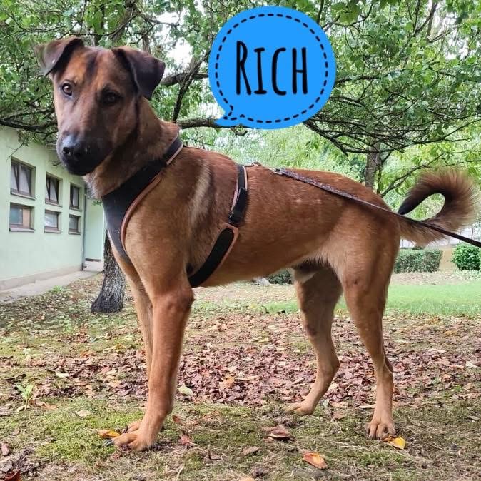 RICH