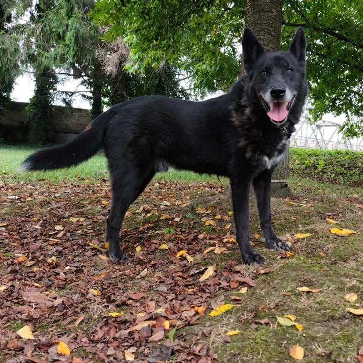 WOOLFIE – Bild 5