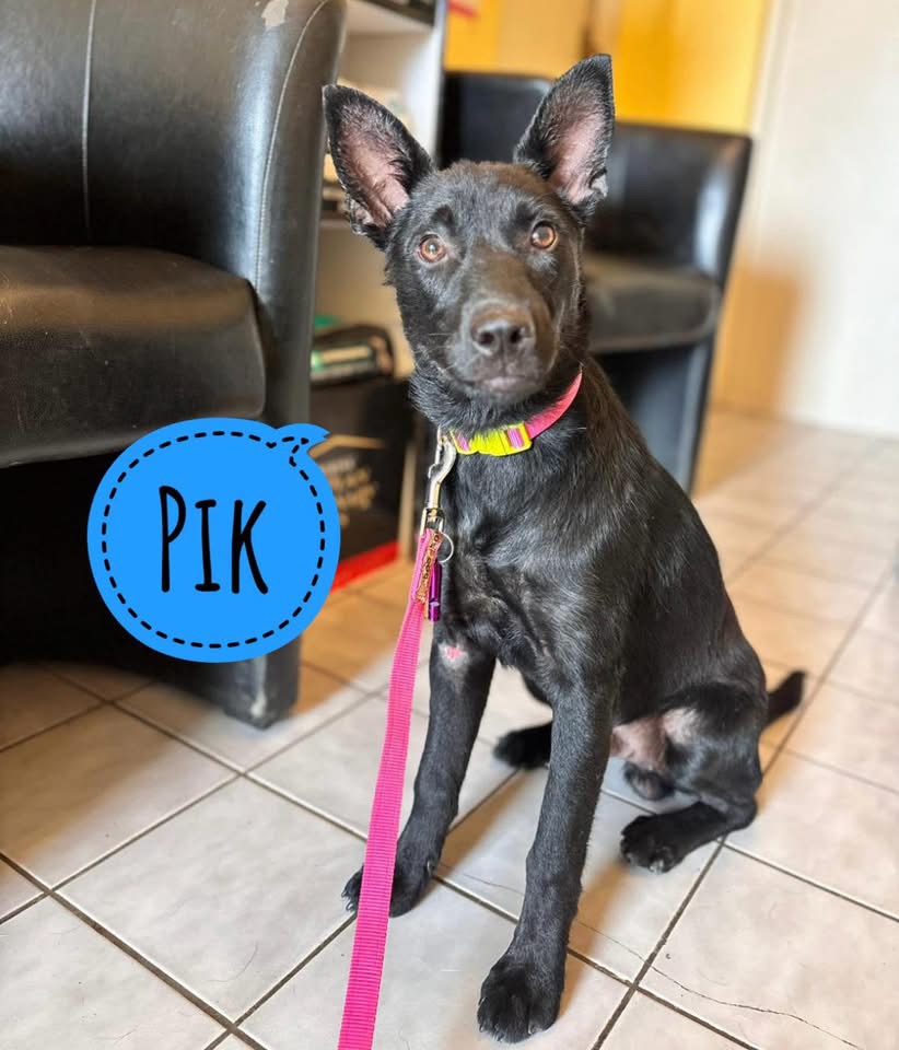PIK