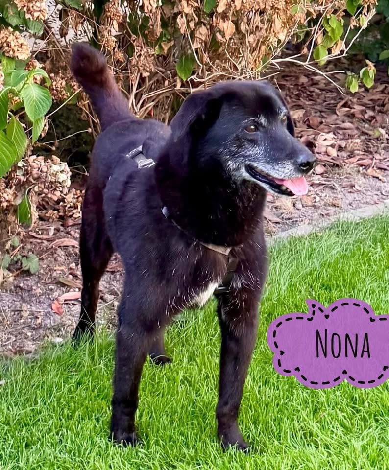 NONA