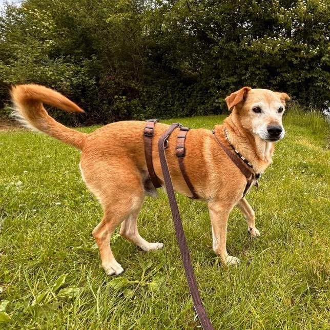WILSON – Bild 2