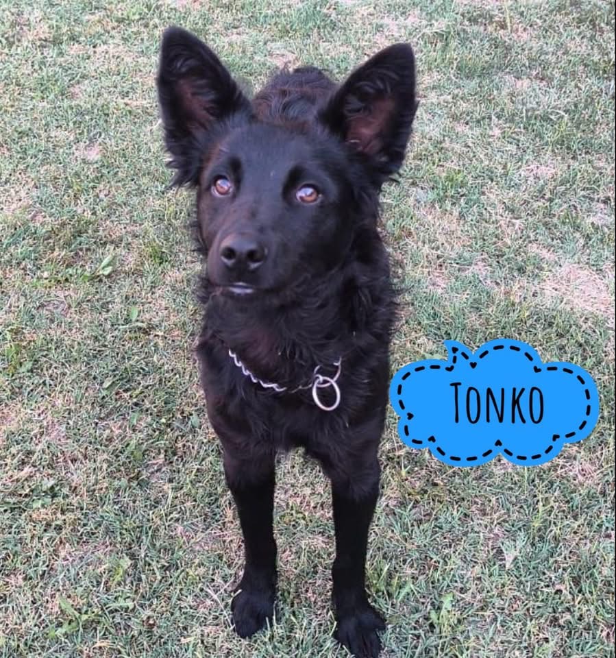 TONKO