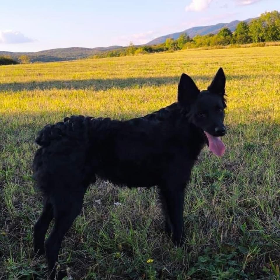 TONKO – Bild 3
