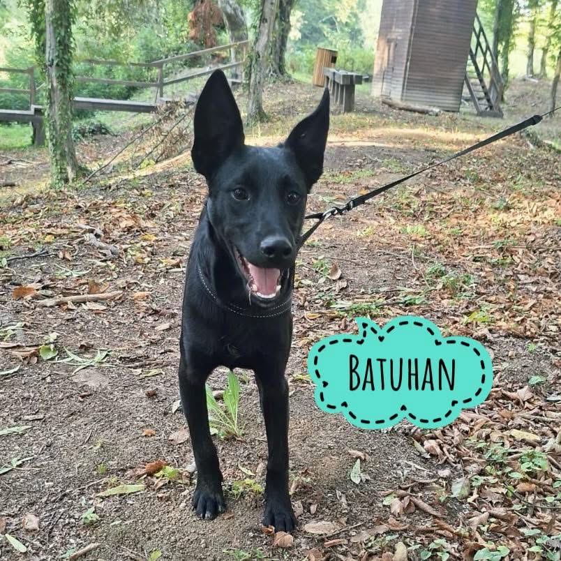 BATUHAN