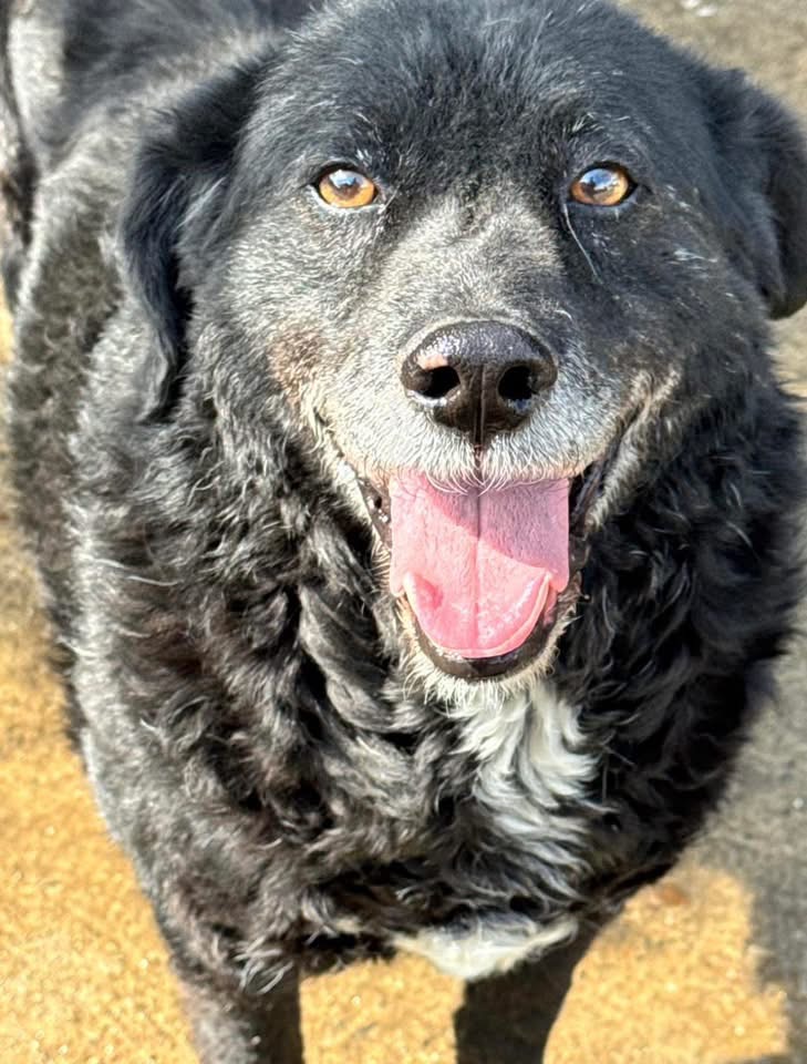 LOKI – Bild 2