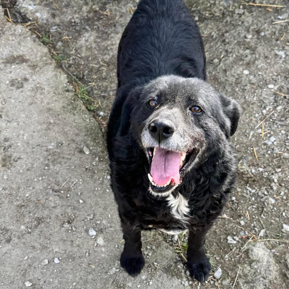 LOKI – Bild 4