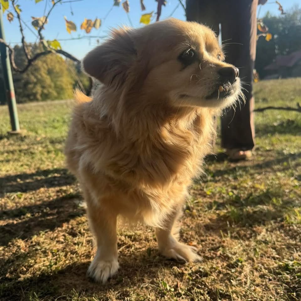 WILLA – Bild 7