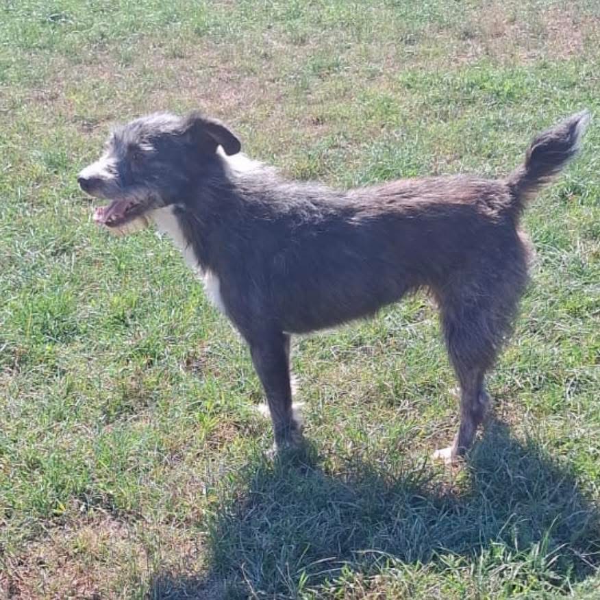 NORA – Bild 3