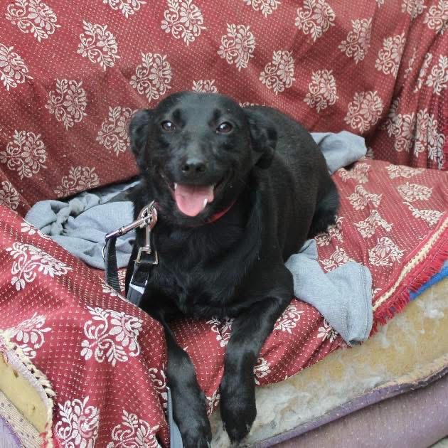MICHA – Bild 3