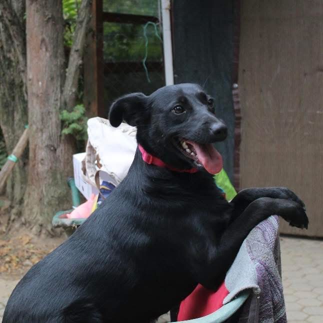 MICHA – Bild 4